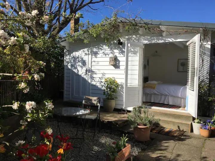 Garden Studio Кранбрук Екстериор снимка
